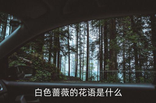 白蔷薇的花语，白蔷薇的花语是什么