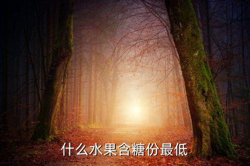 什么水果含糖份最低