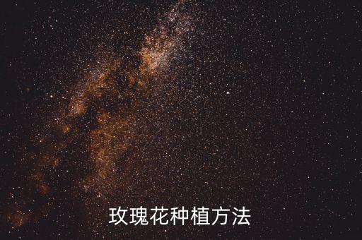 玫瑰花种植方法