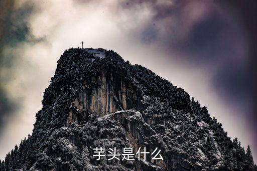 芋头是什么