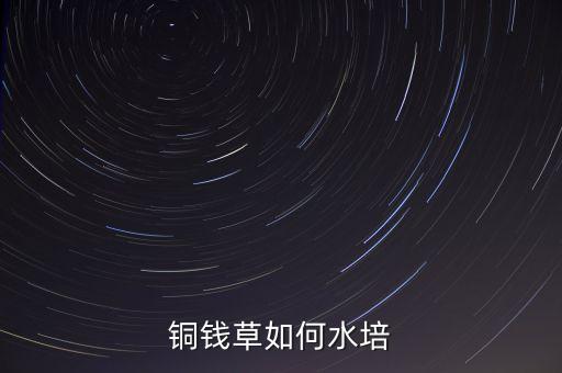 铜钱草如何水培