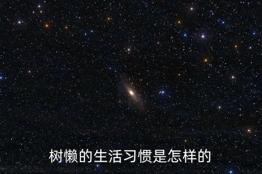 树懒的生活习惯是怎样的