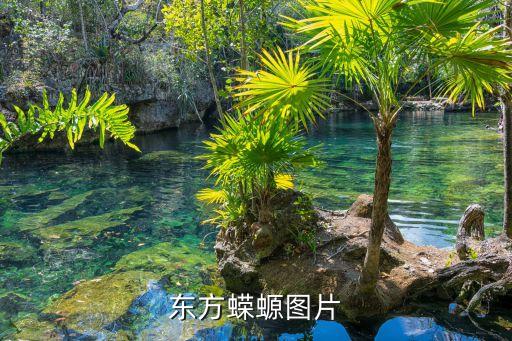 鮰鱼图片，求楪祈的高清图片
