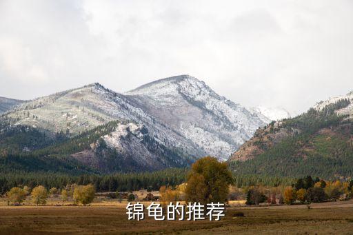 锦龟，西部锦龟什么时候开始冬眠