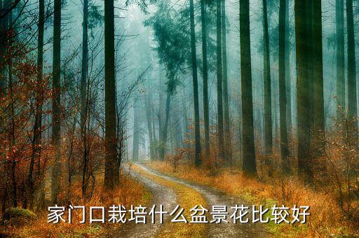 家门口栽培什么盆景花比较好