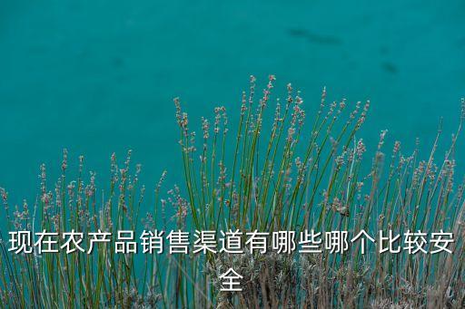 现在农产品销售渠道有哪些哪个比较安全