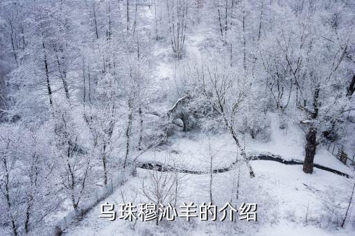 乌珠穆沁，到乌珠穆沁草原应在哪个火车站下下火车后交通如何去锡林郭勒的