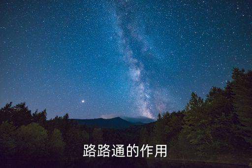 路路通的功效与作用，路路通的功效与作用