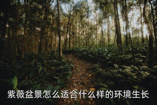 紫薇盆景，紫薇盆景怎么适合什么样的环境生长