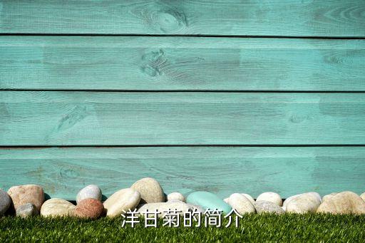 洋甘菊的简介