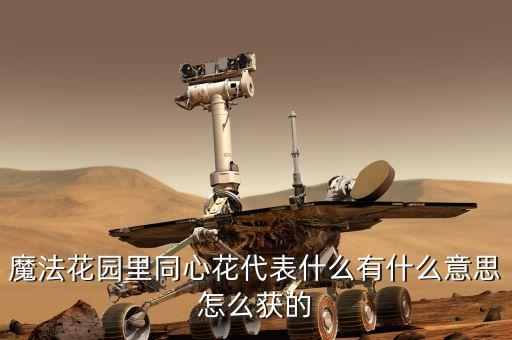 魔法花园里同心花代表什么有什么意思怎么获的