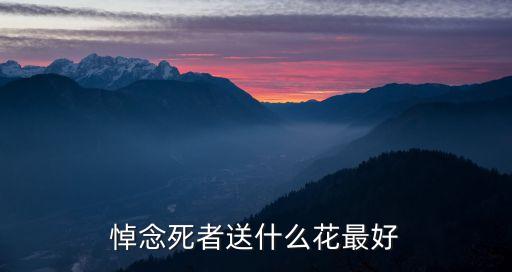 悼念死者送什么花最好