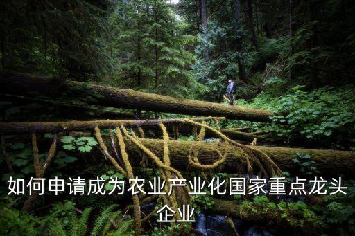 如何申请成为农业产业化国家重点龙头企业