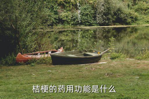桔梗的药用功能是什么