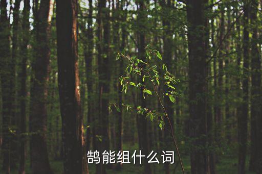 鹄能组什么词