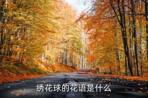绣花球的花语是什么