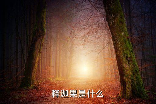 释迦果是什么