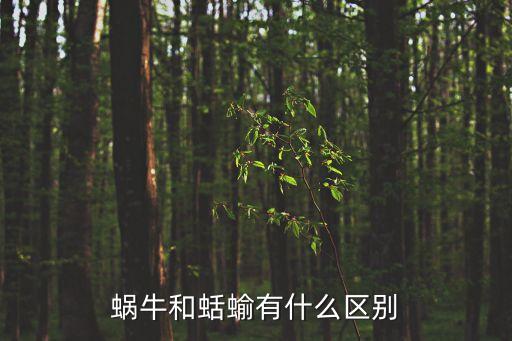 蜗牛和蛞蝓有什么区别