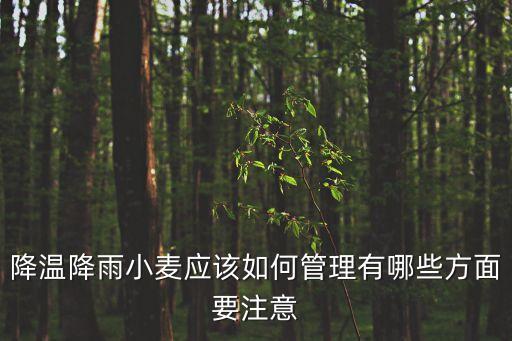降温降雨小麦应该如何管理有哪些方面要注意