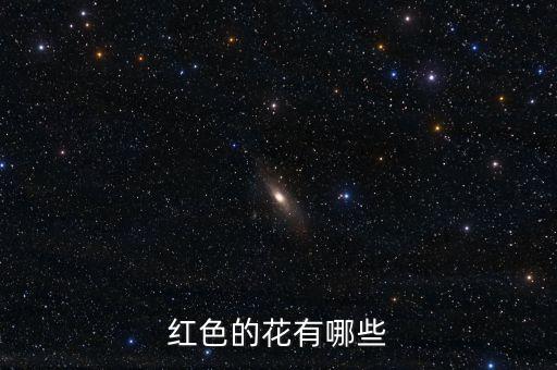 红色的花有哪些，什么花是红色的