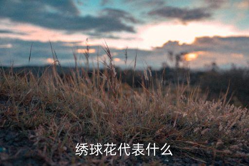 绣球花代表什么