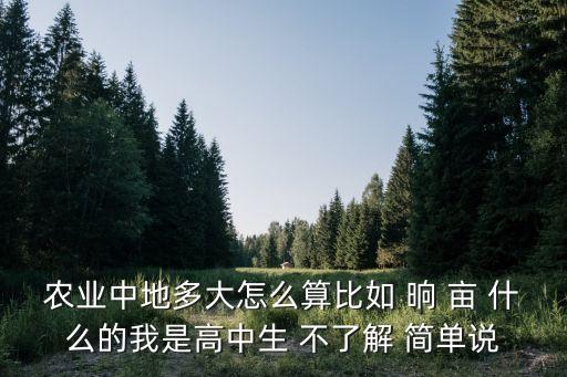 农业中地多大怎么算比如 晌 亩 什么的我是高中生 不了解 简单说