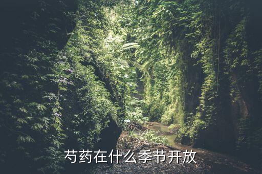 芍药在什么季节开放