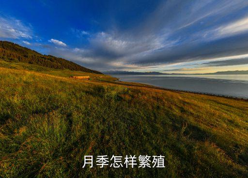 月季怎样繁殖
