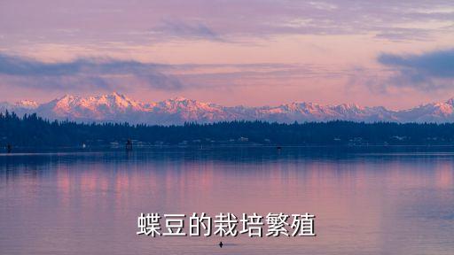 蝶豆，蝶豆炎是一种什么病