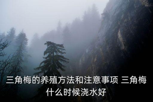 三角梅的养殖方法和注意事项 三角梅什么时候浇水好