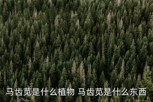 毛马齿苋，马齿菜是一种什么草