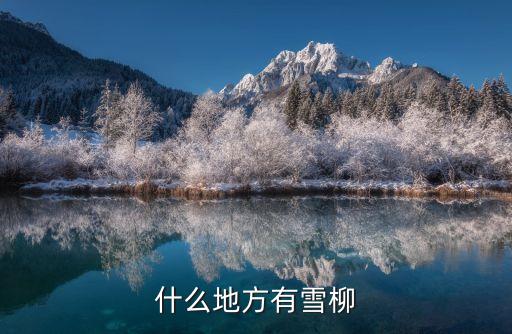 雪柳，雪柳的介绍