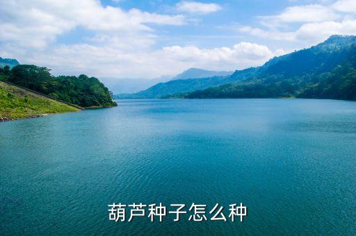 葫芦种子怎么种