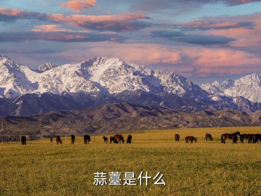 蒜苔是什么，什么是蒜苔