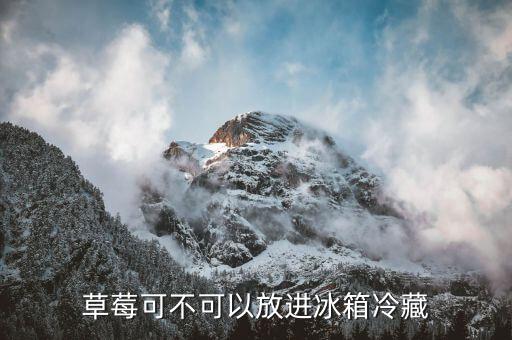 草莓可不可以放进冰箱冷藏