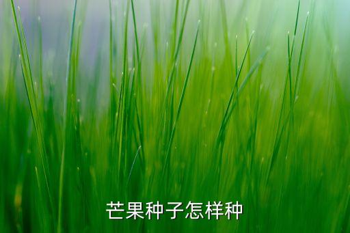 芒果种子怎么种，芒果的种子如何播种