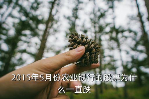 农业股票怎么老是跌呀，2015年5月份农业银行的股票为什么一直跌