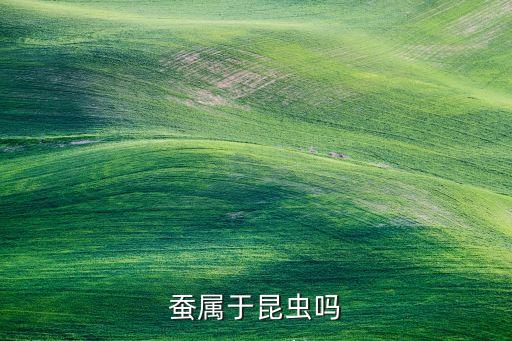蚕属于昆虫吗