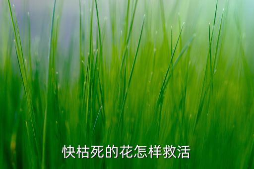 花枯萎了怎么救活，快枯死的花怎样救活