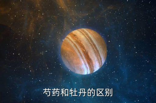 芍药和牡丹的区别