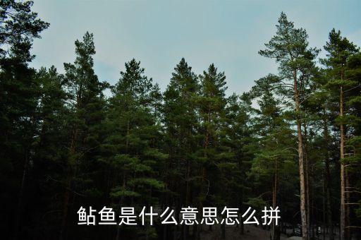 鲇鱼是什么意思怎么拼