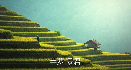 芊萝 暴君