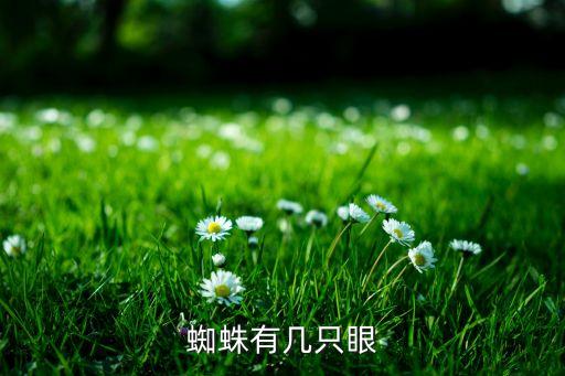 蜘蛛有几只眼