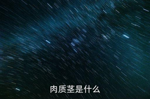 肉质茎是什么