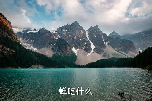 蛾子吃什么，蝉吃什么