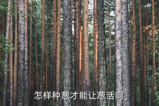 怎样种葱，大葱怎么种植