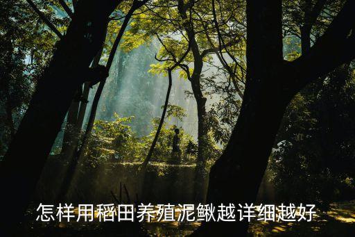 怎样用稻田养殖泥鳅越详细越好