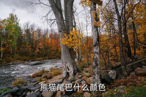 熊猫尾巴什么颜色