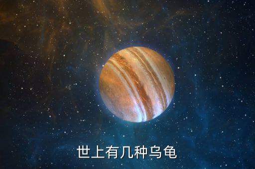 龟的种类图片，辨认乌龟的种类和名字图片如下