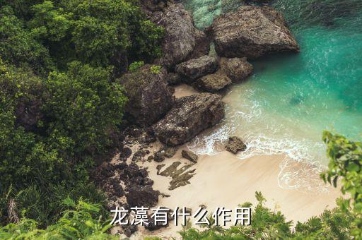 龙蒿草，龙蒿能做什么